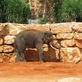 Zoo 089.jpg