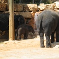 Zoo 091.jpg