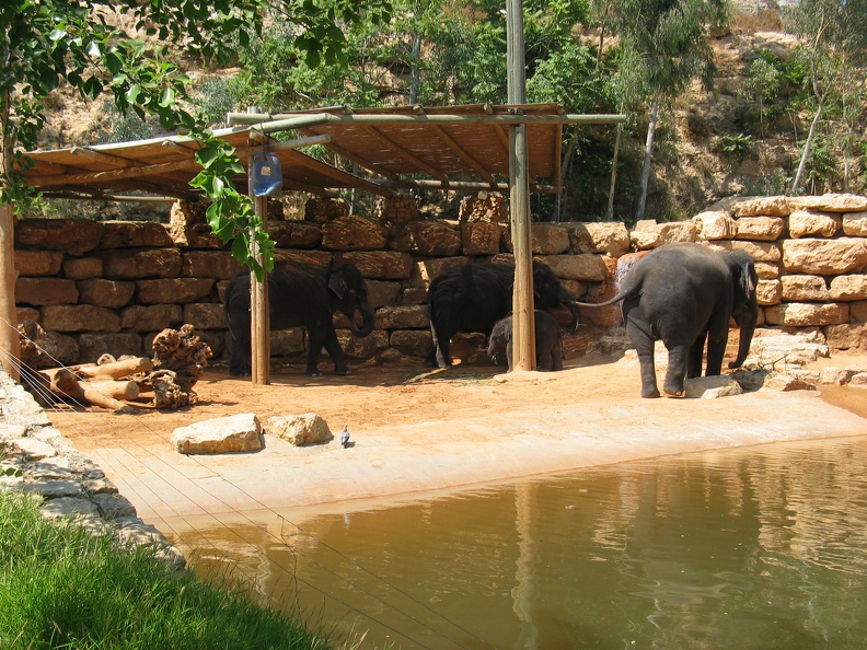Zoo 092.jpg