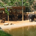 Zoo 092.jpg