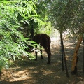 Zoo 094.jpg