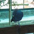Zoo 098.jpg