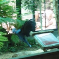 Zoo 100.jpg