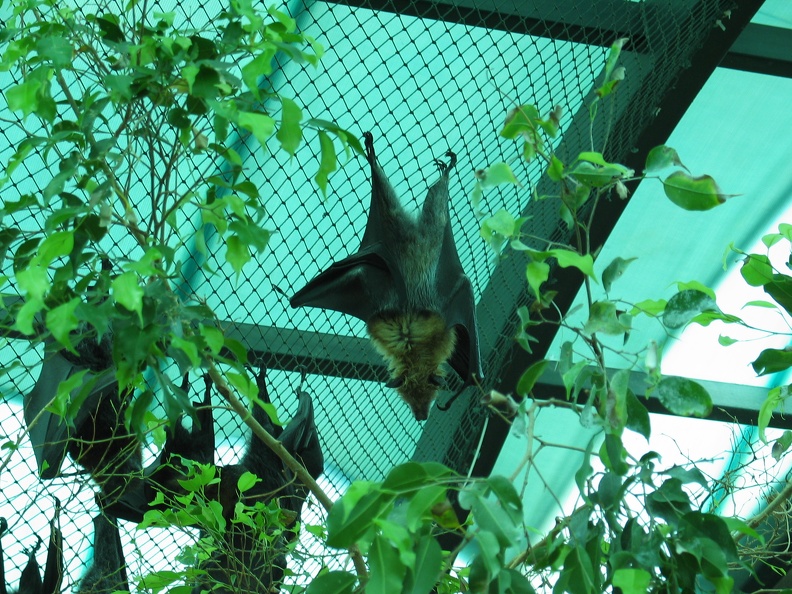 Zoo 103.jpg