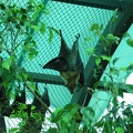 Zoo 103.jpg