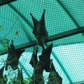 Zoo 104.jpg