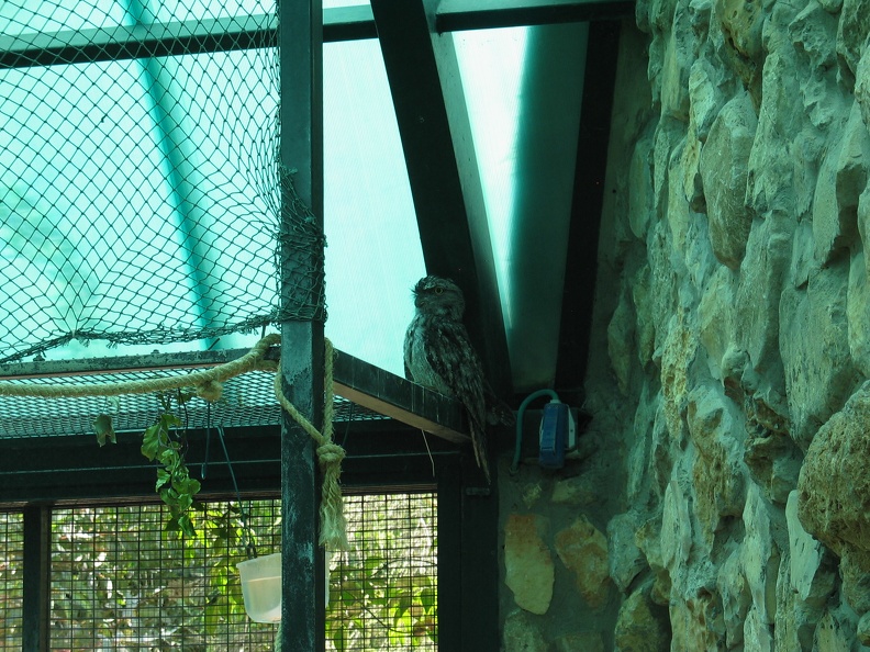 Zoo 105.jpg