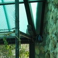 Zoo 105.jpg
