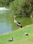 Zoo 111.jpg
