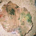 F1040010