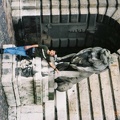 F1040032