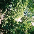 F1060005