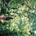 F1060006