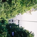 F1060008