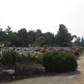 Givat-Brener 001