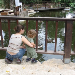 Monkeys Garden, 3-Nov-2007