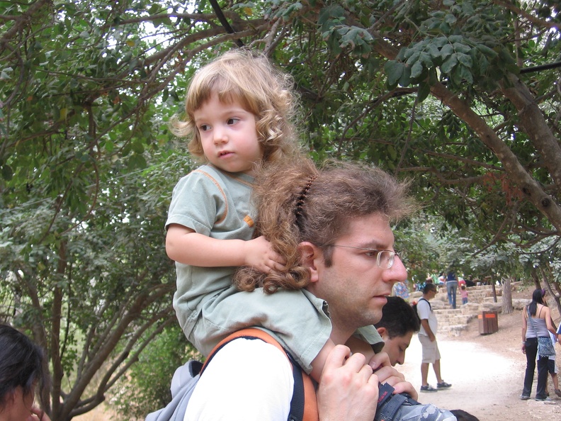 Monkeys 016