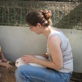 Monkeys 041