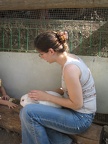 Monkeys 041
