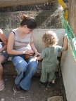 Monkeys 043