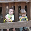 Monkeys 049