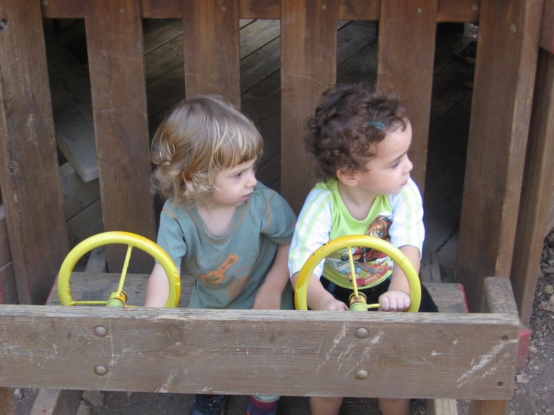 Monkeys 051