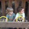 Monkeys 051