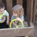 Monkeys 050
