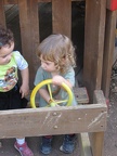Monkeys 050