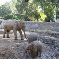 Safari 018