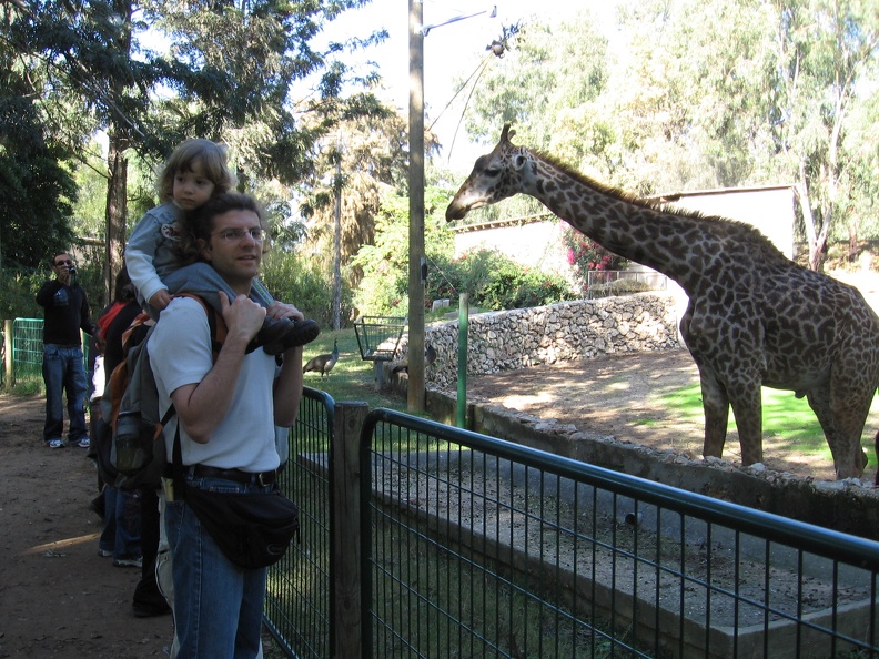 Safari 031