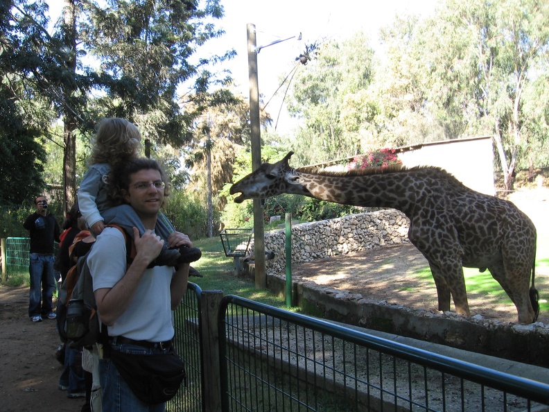 Safari 030