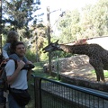 Safari 030