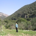 Upper Galilee 051