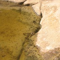 Upper Galilee 057