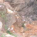 Upper Galilee 074