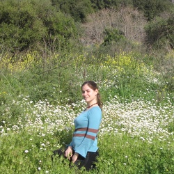 Upper Galilee, Spring 2006
