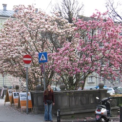 Makartplatz