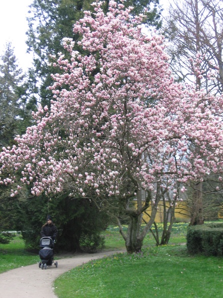 Austria 330