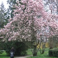 Austria 330