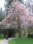 Austria 330