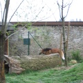 Austria 264