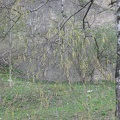 Austria 314
