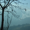Austria 349
