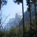 Austria 475