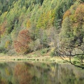 Germany 018