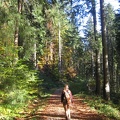 Germany 028