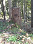 Germany 031