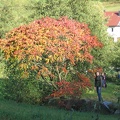 Germany 038