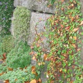 Germany 074